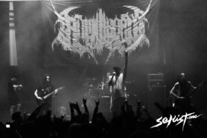 All Misery (1)
