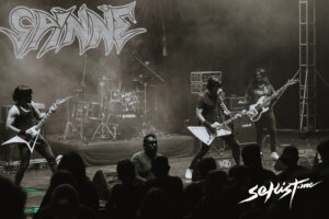 Spinne (1)