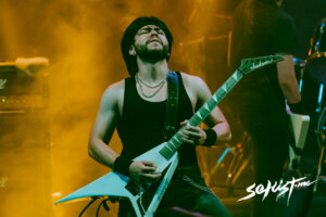 Spinne (3)