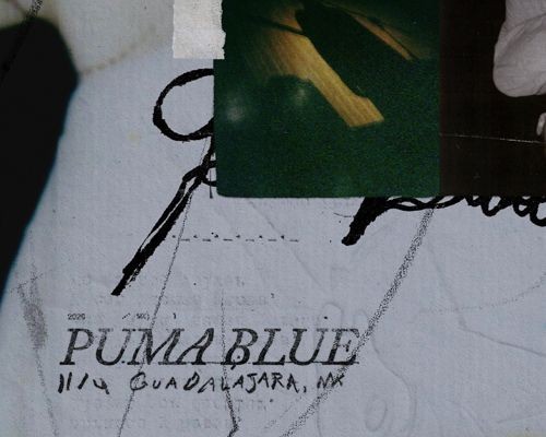 Flyer de Puma Blue en México: C3 Stage Guadalajara